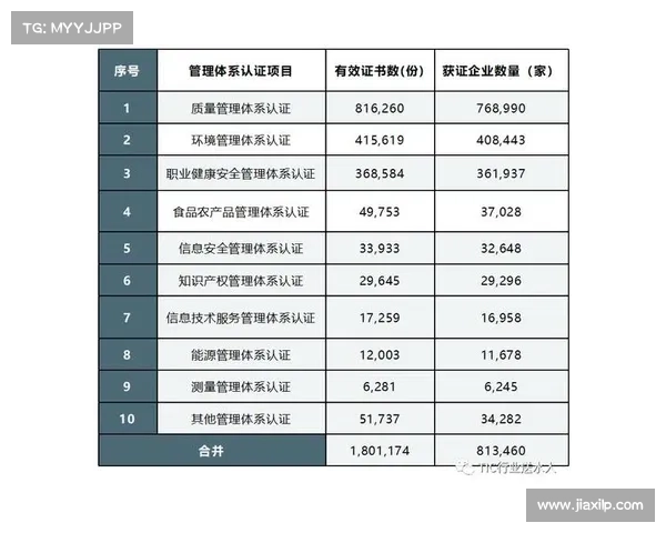 拜仁未来新星戴尔的能力分析与职业发展前景探讨